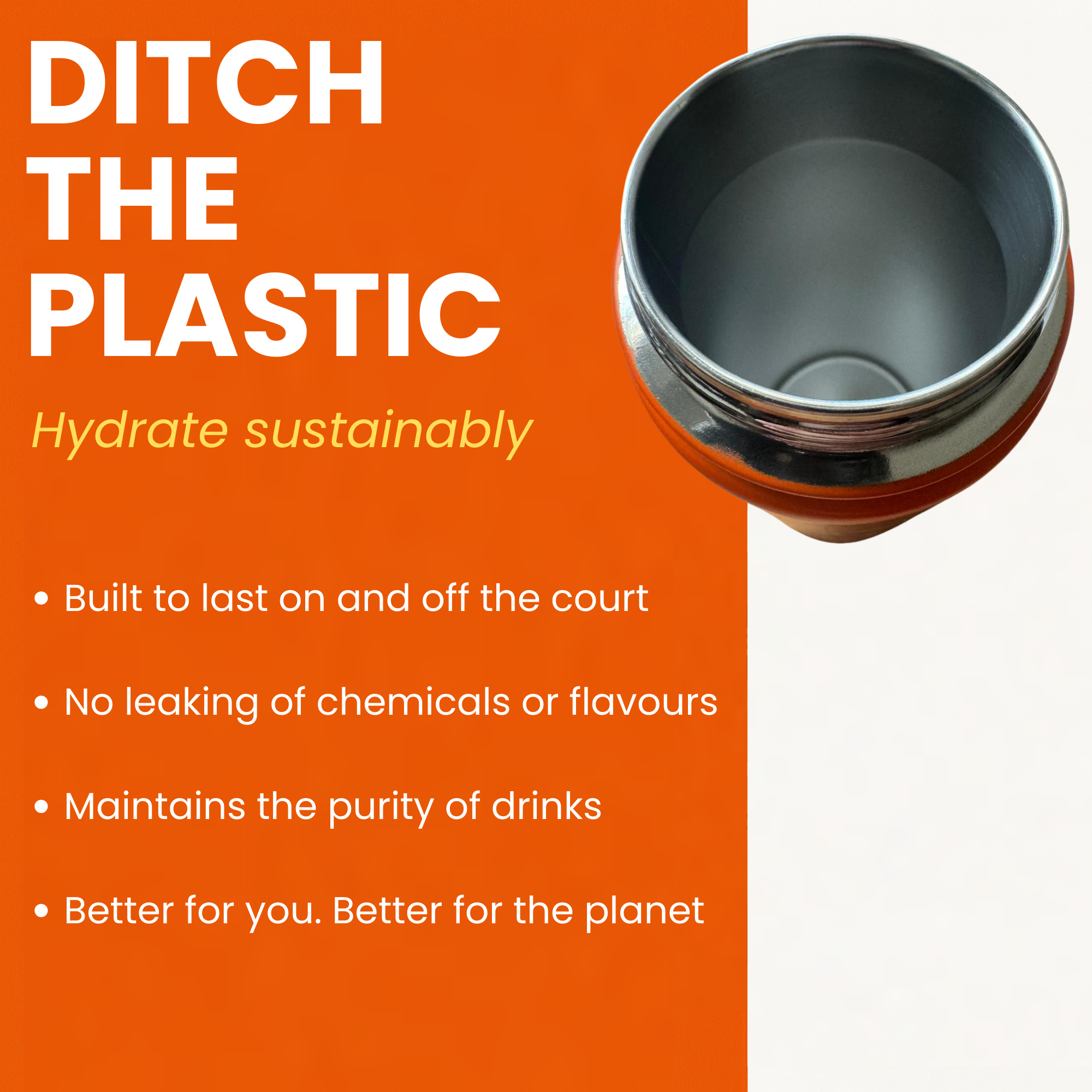 Stainless Steel Water Bottle